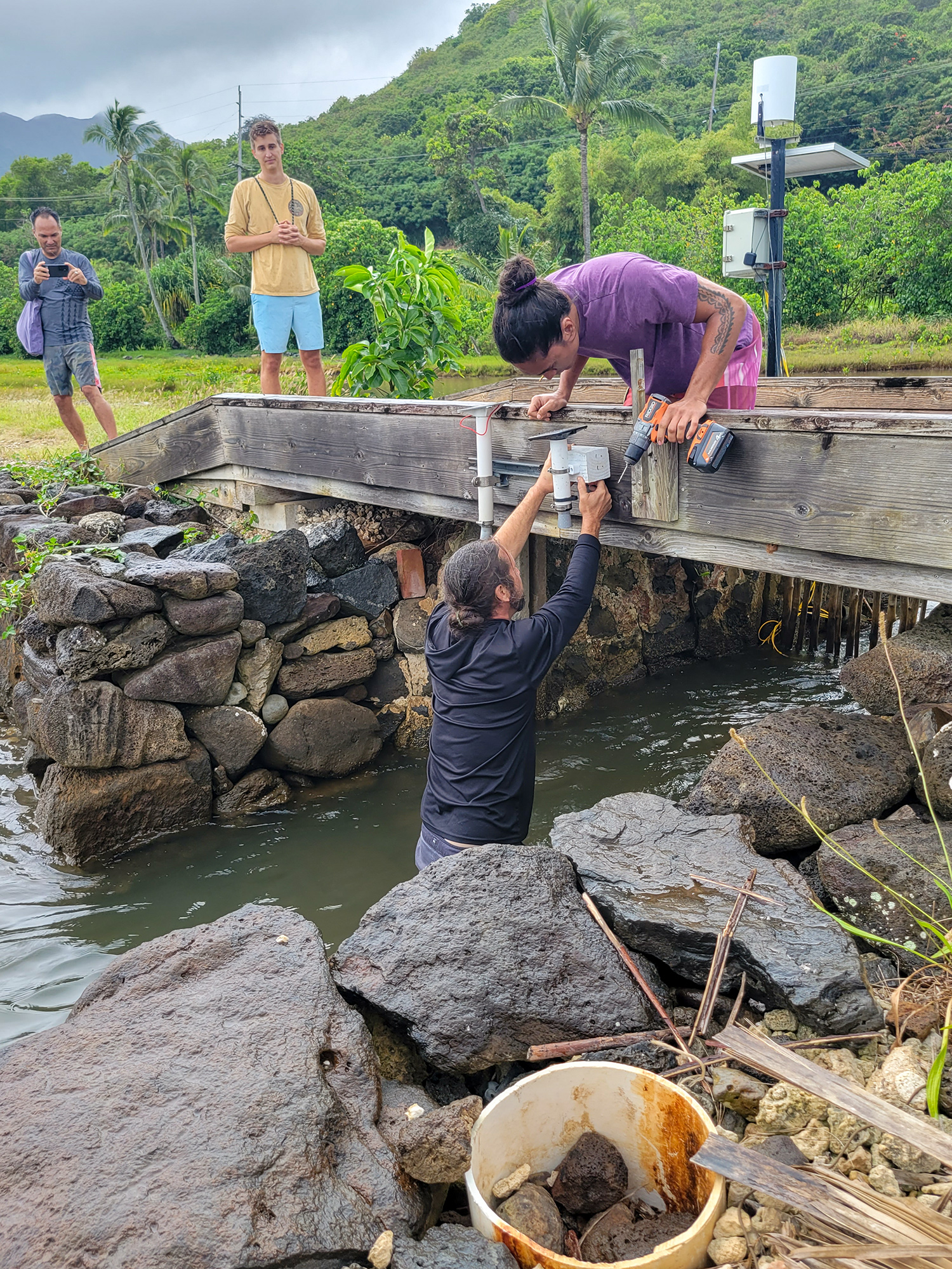 Two men, one hip-deep in water and the other above kneeling on a bridge, work together to install a sensor that will monitor water conditions in an ancient fishpond in Hawaii.
