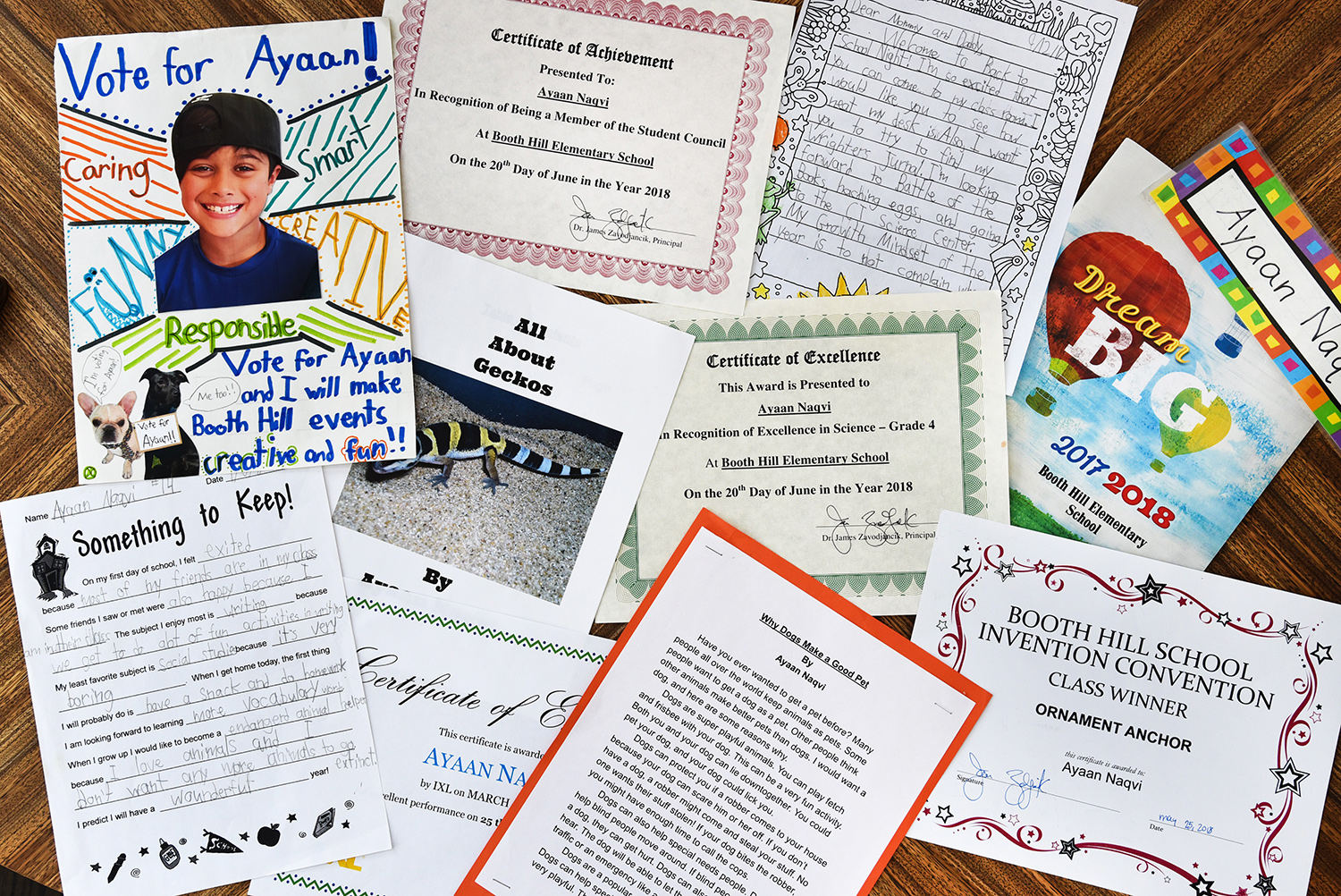 An array of certificates, reports or hand drawn campaign posters by Ayaan Naqvi