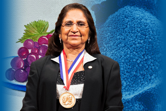 Sumita Mitra wearing her National Inventors Hall of Fame medal, in front of images of a painting of grapes and nanoparticles.