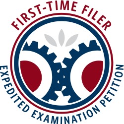 First-Time Filer Expedited Examination Pilot Program