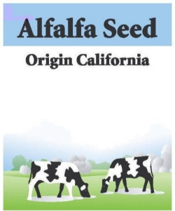 The words “Alfalfa Seed” appear in black letters in front of a blue background. The words “Origin California” float in a white sky with a drawing of two cows grazing in grass. 